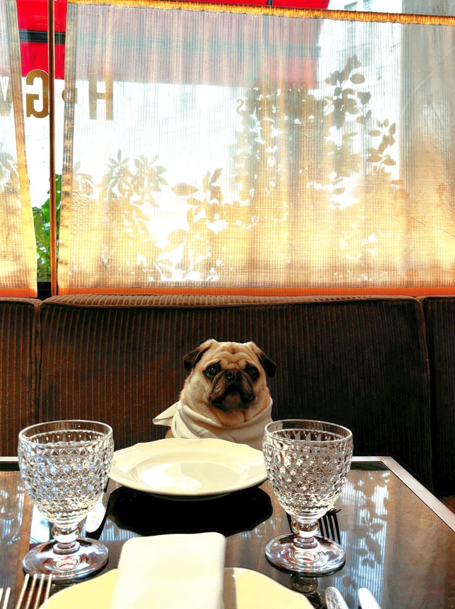 Des Grands Voyageurs Hotel Paris